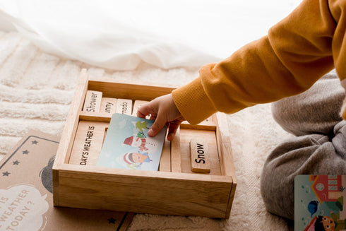 QTOYS - Weather Play Set